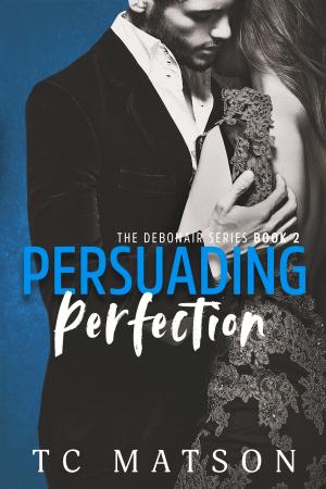 Book cover of Persuading Perfection