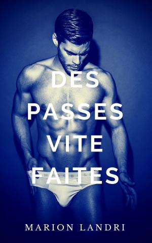 Cover of the book Des passes vite faites by Marla Lend