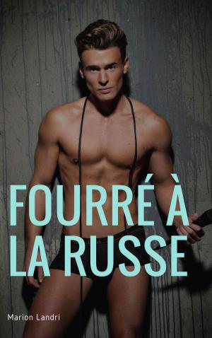 Cover of the book Fourré à la russe by Mickael Lecomte
