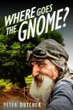 Book cover of Where Goes the Gnome