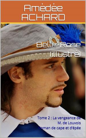 Cover of the book Belle-Rose (illustré) by Paul d'Ivoi