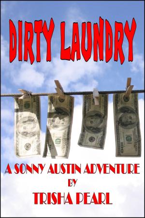 Cover of the book Dirty Laundry by Brandon Cross