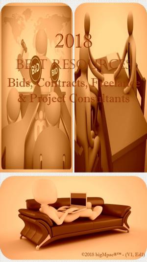 Cover of 2018 Best Resources for Bids, Contracts, Freelance & Project Consultants