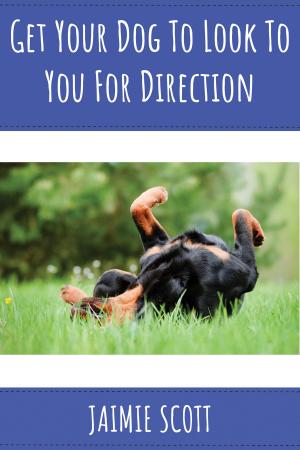 Book cover of Get Your Dog to Look To You For Direction!