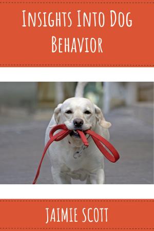 Book cover of Insights Into Dog Behavior