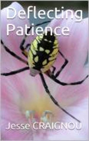 Cover of the book Deflecting Patience by Jesse CRAIGNOU