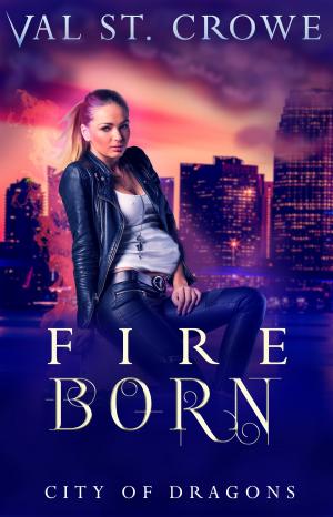Book cover of Fire Born