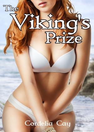 Cover of the book The Viking's Prize by Chloé Fontenet