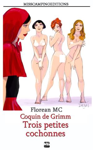 Cover of the book Coquin de Grimm 2: Les trois petites cochonnes by Florean MC