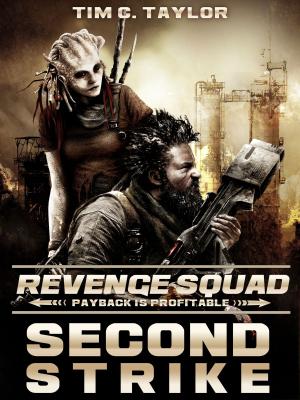 Book cover of Second Strike