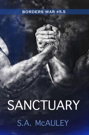 Cover of the book Sanctuary by Richard S. Levine