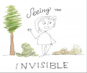 Book cover of Seeing the INVISIBLE