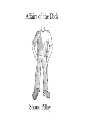 Cover of the book Affairs of the Dick by Vladimir Burdman Schwarz