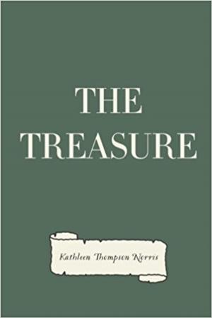 Cover of the book THE TREASURE by EDGAR ALLAN POE