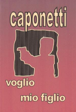 Cover of the book voglio mio figlio by arnaldo s. caponetti