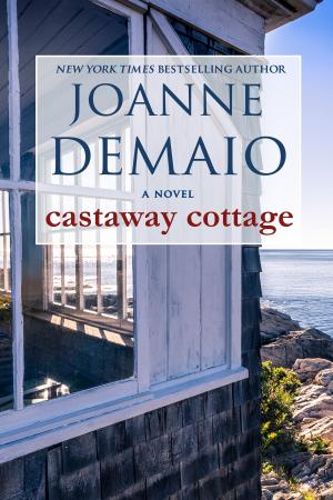 Cover of the book Castaway Cottage by Nancy Lee Teaff, M.D., Kim Wright Wiley