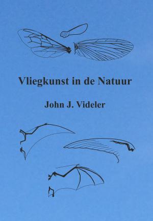 Book cover of Vliegkunst in de natuur
