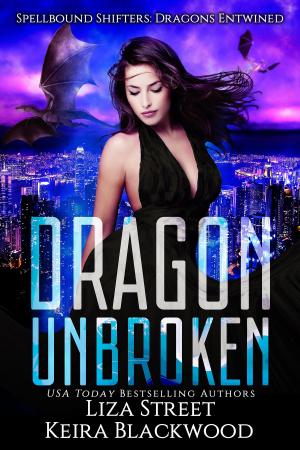 Cover of the book Dragon Unbroken by Laura Shinn