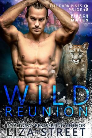 Cover of the book Wild Reunion by 卡洛斯．魯依斯．薩豐, Carlos Ruiz Zafón