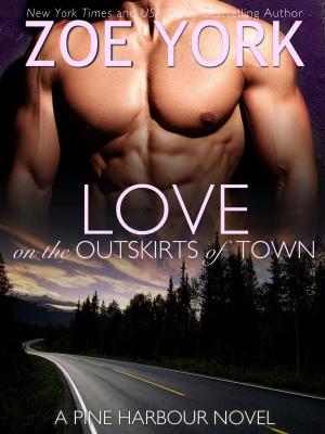 Cover of the book Love on the Outskirts of Town by Rania Battany