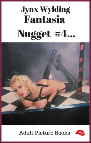 Cover of the book Fantasia Nugget by Katie Vixen