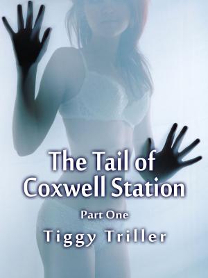 Book cover of The Tail of Coxwell Station