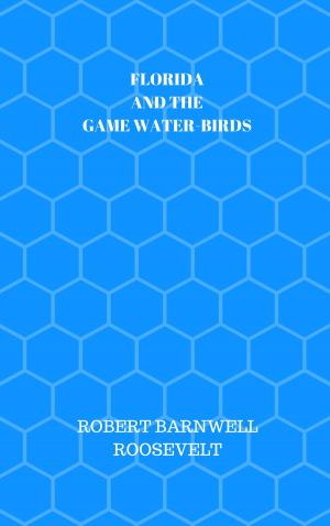 Cover of the book FLORIDA AND THE GAME WATER-BIRDS by Alexandre Dumas