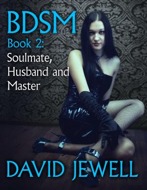 Cover of the book Soulmate, Husband and Master by David Jewell