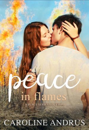 Cover of the book Peace in Flames by Melissa Craig