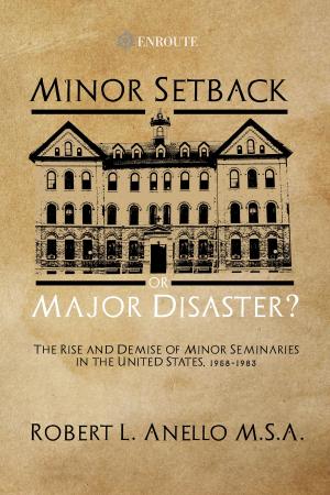 Cover of the book Minor Setback or Major Disaster? by Darcy Pattison