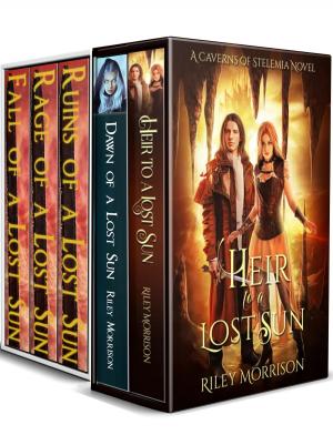 Cover of the book The Lost Sun Universe Box Set by Stormy Summers