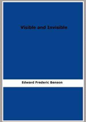 Book cover of Visible and Invisible