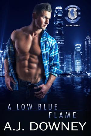Cover of the book A Low Blue Flame by Virginia Locke, Nadia Dantes