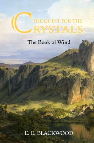 Book cover of The Book of Wind