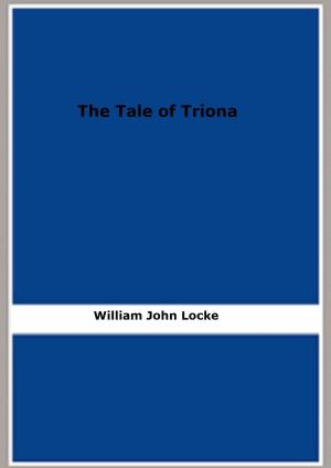 Book cover of The Tale of Triona
