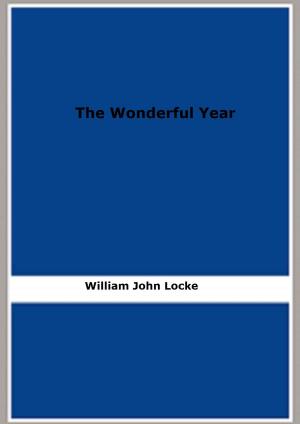 Cover of the book The Wonderful Year by Jean-Eugène Robert-Houdin