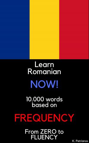 Cover of the book Learn Romanian NOW! by J. Martinez-Scholl