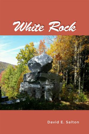 Cover of the book White Rock by Donna E. Leaseburg