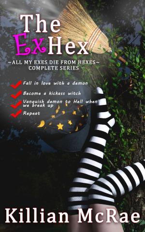 Cover of the book The Ex Hex by Per Holbo
