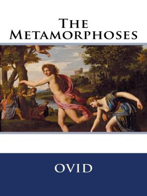 Cover of the book The Metamorphoses by David Wright