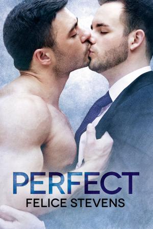 Cover of the book Perfect by Cait Jarrod