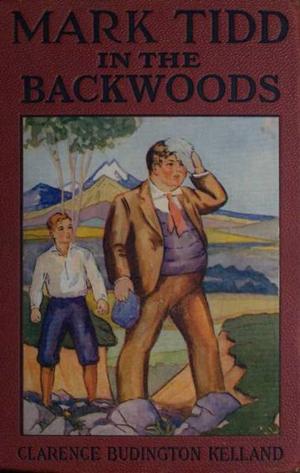 Book cover of Mark Tidd in the Backwoods
