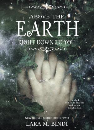 Cover of the book Above the Earth by Tracy Sinclair