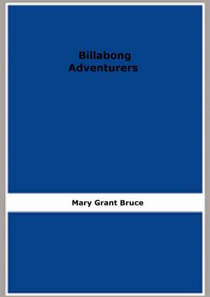 bigCover of the book Billabong Adventurers by 