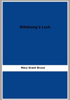 Book cover of Billabong's Luck
