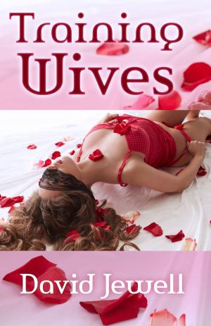 Cover of the book Training Wives by Delilah Fawkes