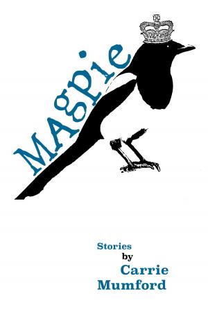 Cover of the book Magpie by Trudy Stiles