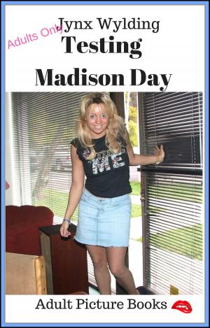 Cover of the book Testing Madison Day by Renee Harless