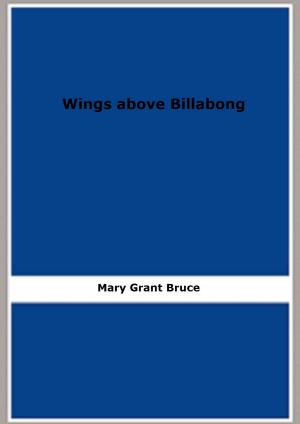 Book cover of Wings above Billabong
