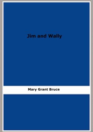 Cover of the book Jim and Wally by Eugène Müntz